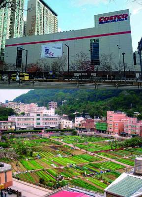 Quelle oben: LERK/CC BY-SA 4.0; unten:
Shoestring at wts.wikivoyage/CC BY-SA 4.0 Costco South Corea / Urban Farming Taiwan